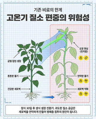 오호Ohoo님의 자유주제 · 자유게시판 작성글 사진