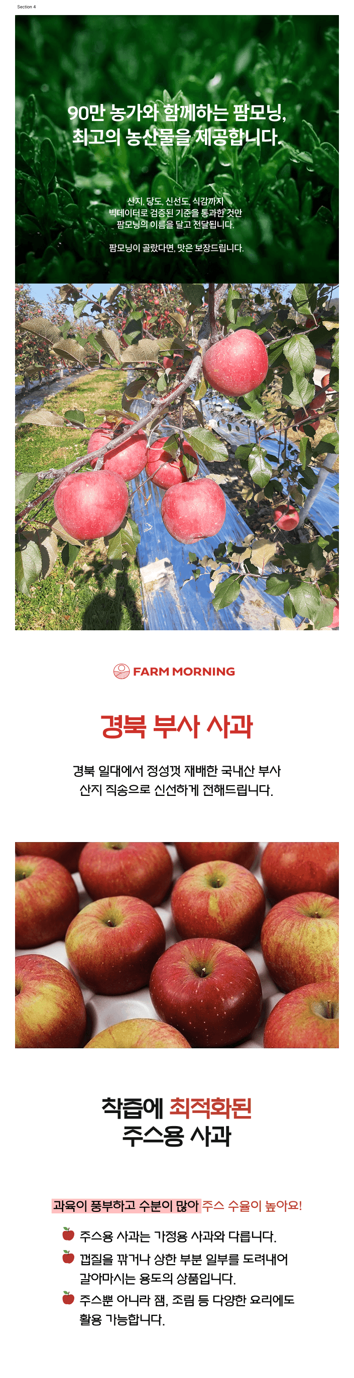 팜모닝 산지직송님의 장터 판매 상품 [국내산 부사사과 주스용 못난이 실속용 3kg / 5kg / 10kg] 첨부 사진