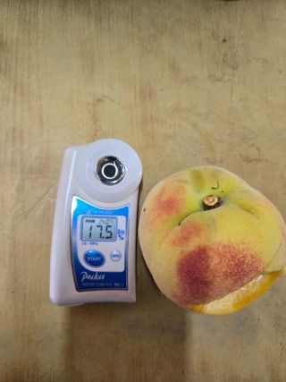 두릅나무9110님의 자유주제 · 자유게시판 작성글 사진