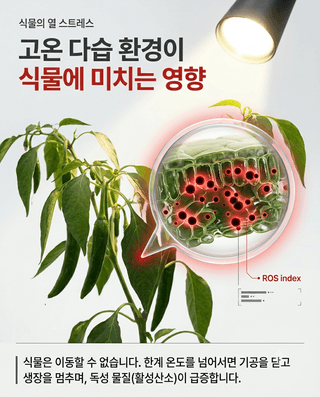 오호Ohoo님의 자유주제 · 자유게시판 작성글 사진