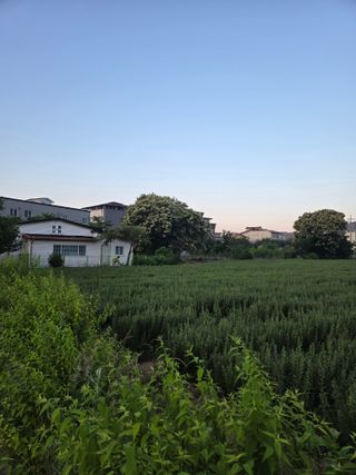 벽양님의 자유주제 · 자유게시판 작성글 사진