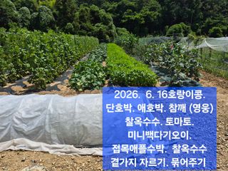 박성민님의 자유주제 · 자유게시판 작성글 사진