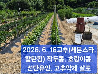 박성민님의 자유주제 · 자유게시판 작성글 사진