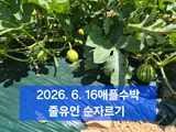 팜모닝 자유주제·자유게시판 게시글 이미지