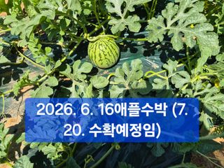 박성민님의 자유주제 · 자유게시판 작성글 사진