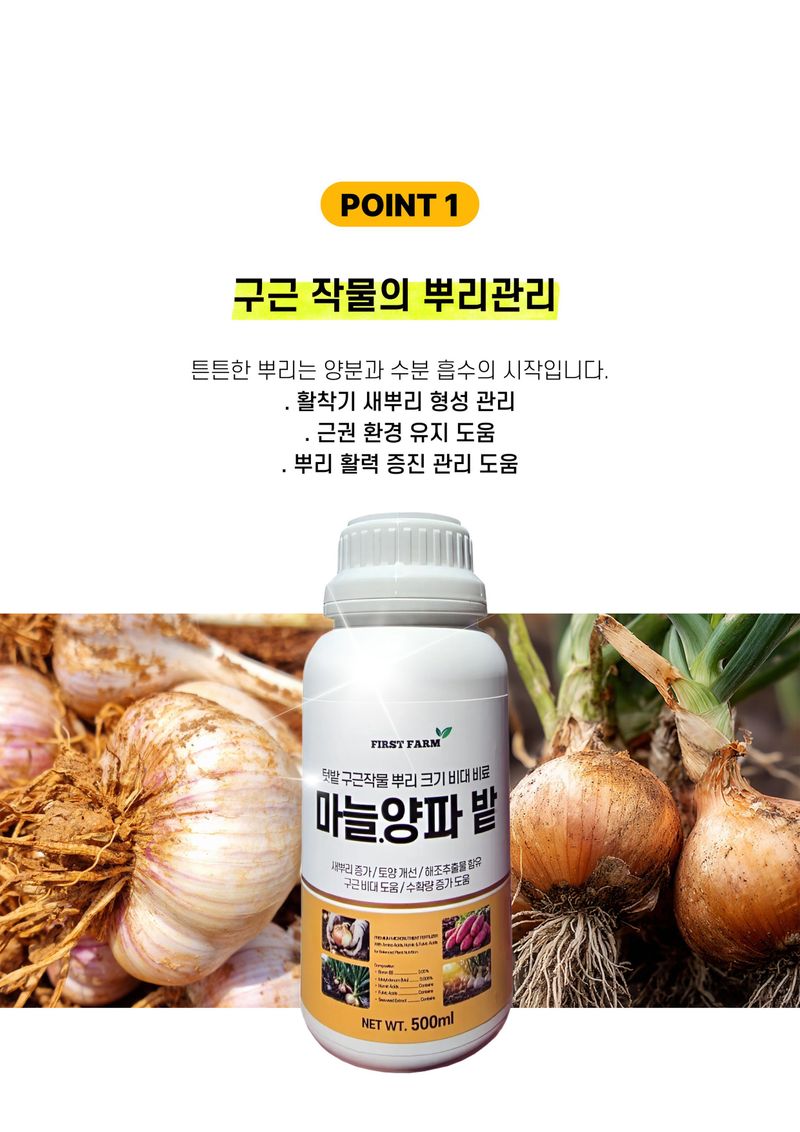 신탄진농약비료마트님의 장터 판매 상품 [퍼스트팜 마늘양파밭500ml 마늘 양파 구근작물 비대 뿌리 활착 비료 아미노산] 첨부 사진