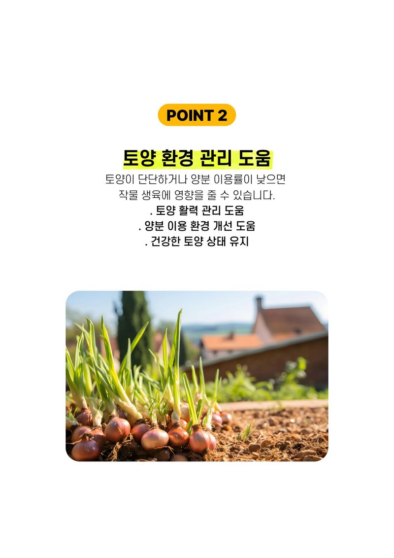 신탄진농약비료마트님의 장터 판매 상품 [퍼스트팜 마늘양파밭500ml 마늘 양파 구근작물 비대 뿌리 활착 비료 아미노산] 첨부 사진