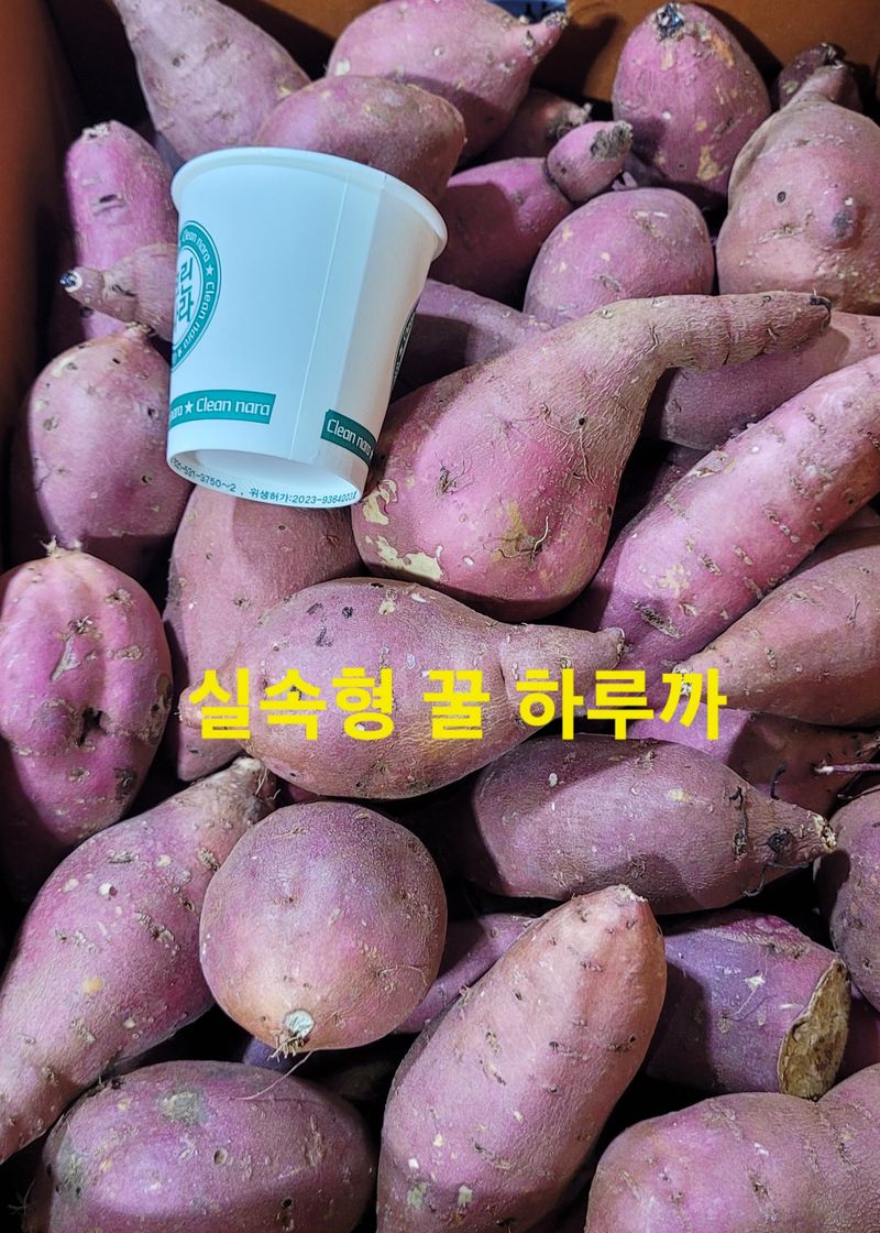 장터 상품 [못난이 실속형 꿀 이찌 하루까1kg(맛 1위)] 썸네일