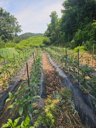 김진영님의 작성글 사진