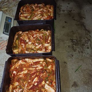 삼성농산님의 자유주제 · 자유게시판 작성글 사진