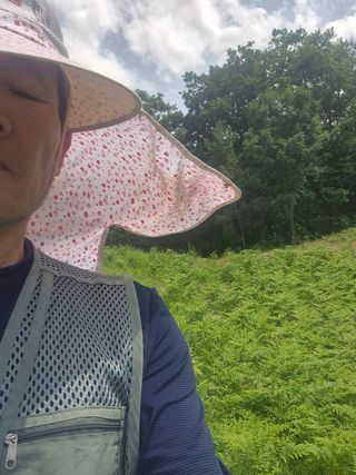 병풍취산채농원님의 자유주제 · 자유게시판 작성글 사진