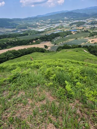 병풍취산채농원님의 자유주제 · 자유게시판 작성글 사진