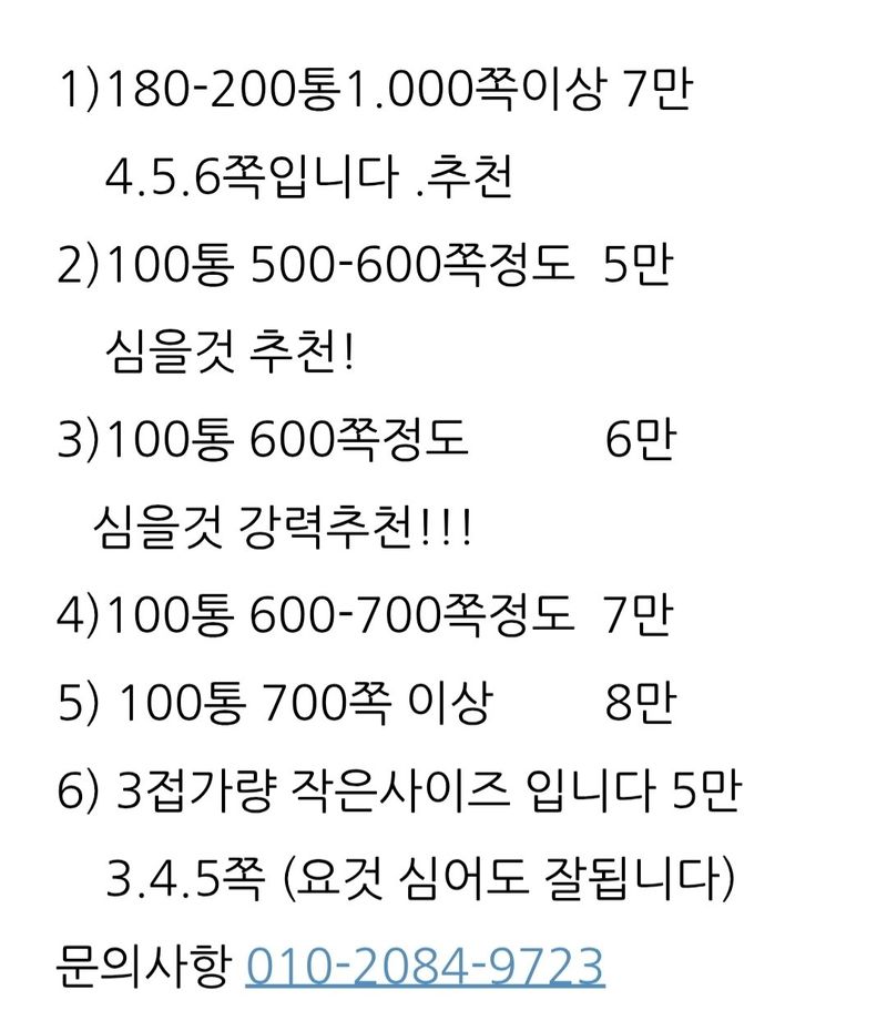 삼성농산님의 장터 판매 상품 [통마늘심어수확한 홍산마늘2접가량판매] 첨부 사진