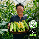 팜모닝 · 게시글 이미지