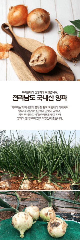 팜모닝 산지직송님의 작성글 사진