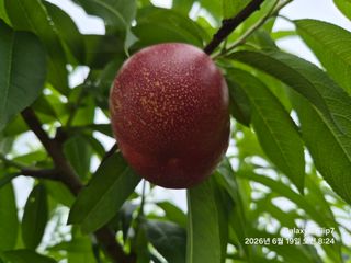 동우농장(김대욱)님의 자유주제 · 자유게시판 작성글 사진