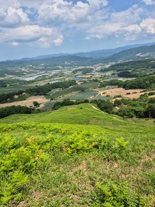 병풍취산채농원님의 자유주제 · 자유게시판 작성글 사진