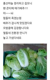 팜모닝 자유주제·자유게시판 게시글 이미지