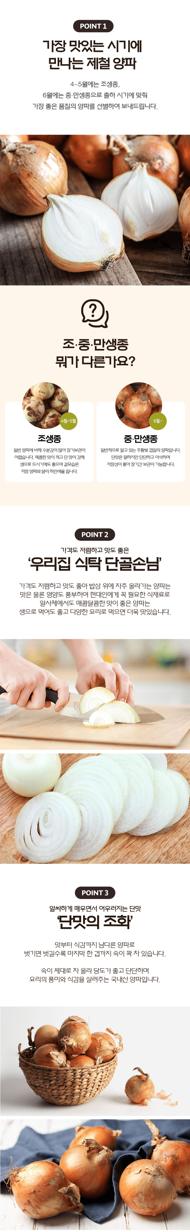 팜모닝 산지직송님의 장터 판매 상품 [황토에서 자란 26년 햇양파 중대과 3kg/5kg] 첨부 사진