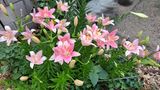 MSG0074님의 자유주제·자유게시판 작성글 사진