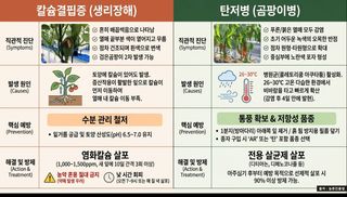 엔피코뉴스님의 자유주제 · 자유게시판 작성글 사진