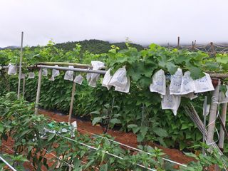 김은숙님의 자유주제 · 자유게시판 작성글 사진