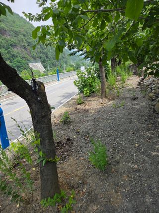 김용대님의 자유주제 · 자유게시판 작성글 사진