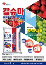 엔피코뉴스님의 자유주제·자유게시판 작성글 사진