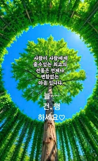 MSG0074님의 자유주제 · 자유게시판 작성글 사진