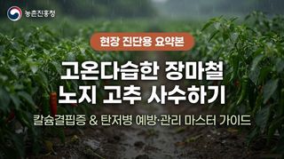 엔피코뉴스님의 자유주제·자유게시판 작성글 사진