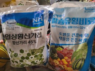 이응혁님의 자유주제 · 자유게시판 작성글 사진