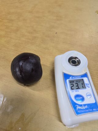 두릅나무9110님의 자유주제 · 자유게시판 작성글 사진
