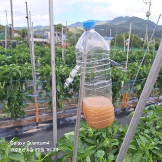 (복조리농장)김찬두님의 자유주제 · 자유게시판 작성글 사진