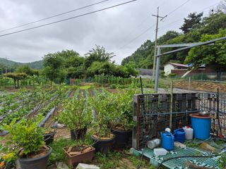 Kns4324님의 자유주제 · 자유게시판 작성글 사진