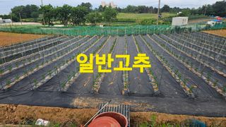장철식님의 자유주제 · 자유게시판 작성글 사진