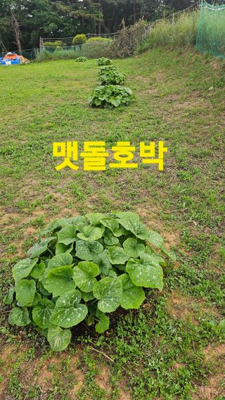 장철식님의 자유주제 · 자유게시판 작성글 사진
