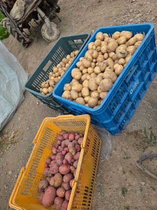 knlee님의 자유주제 · 자유게시판 작성글 사진