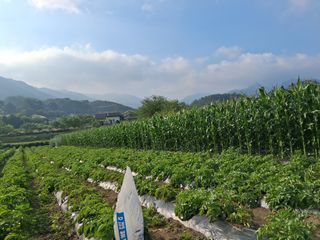 경철님의 자유주제·자유게시판 작성글 사진
