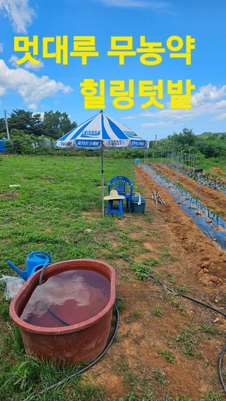 장철식님의 자유주제 · 자유게시판 작성글 사진