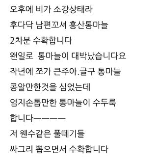 삼성농산님의 마늘 · 일상 작성글 사진