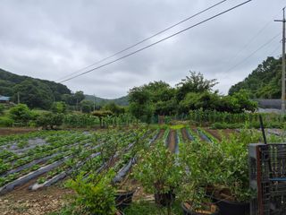 Kns4324님의 자유주제 · 자유게시판 작성글 사진