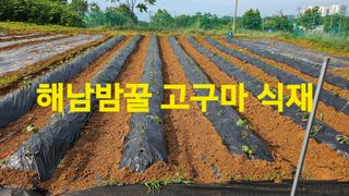 장철식님의 자유주제 · 자유게시판 작성글 사진