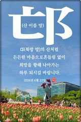 팜모닝 자유주제·자유게시판 게시글 이미지