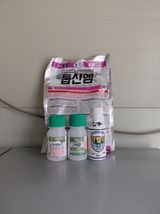 팜모닝 자유주제·자유게시판 게시글 이미지