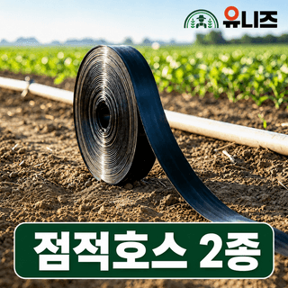 유니즈님의 작성글 사진
