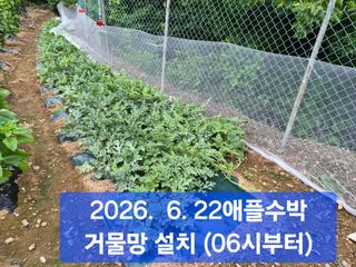 박성민님의 자유주제 · 자유게시판 작성글 사진