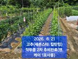 박성민님의 자유주제·자유게시판 작성글 사진