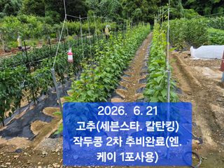 박성민님의 자유주제 · 자유게시판 작성글 사진