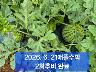 박성민님의 자유주제 · 자유게시판 작성글 사진