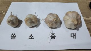 조한솔님의 작성글 사진